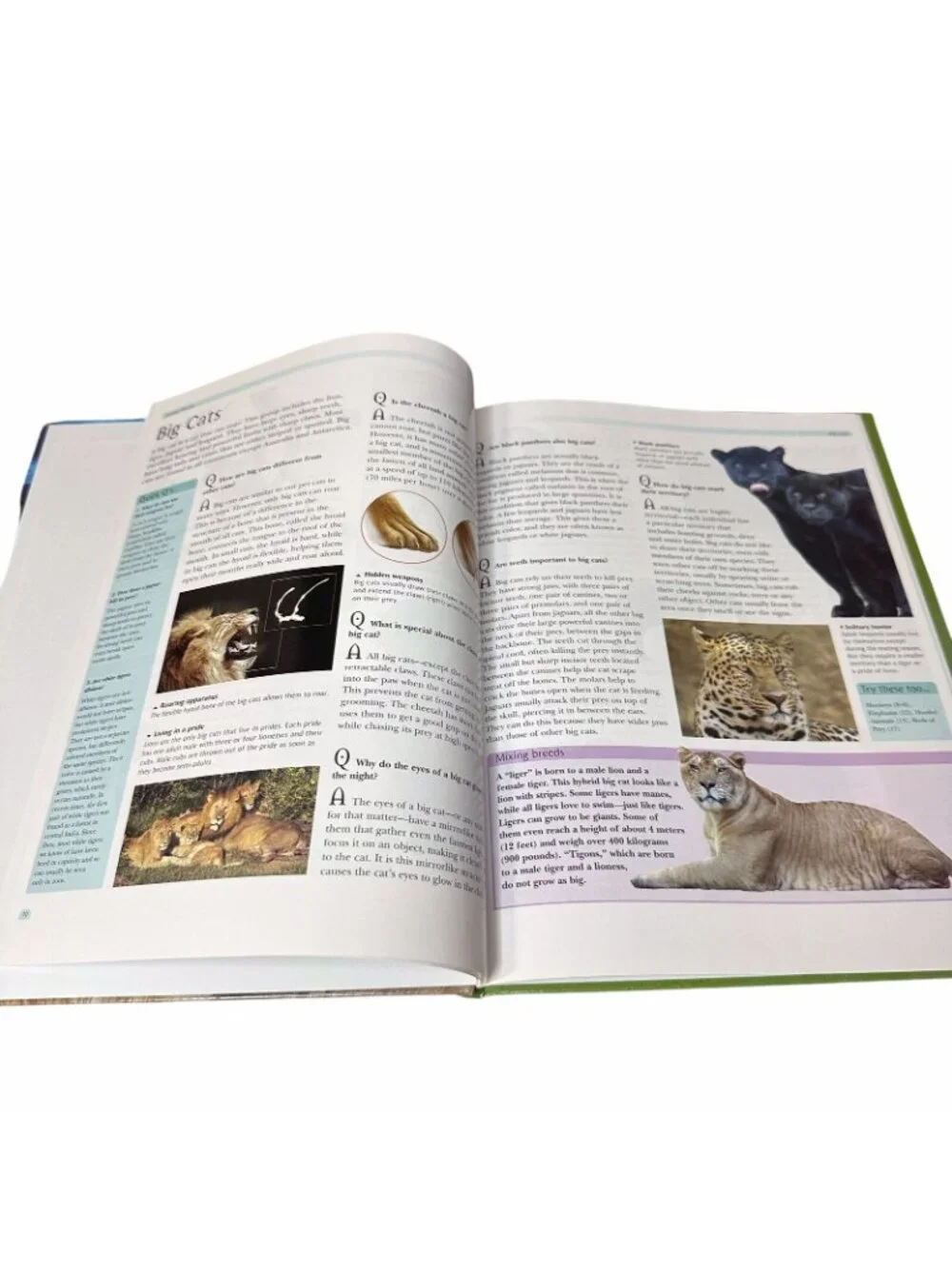 Arcturus Questions & Answers Lot 5 Hardcover Books Science History Animals Kids